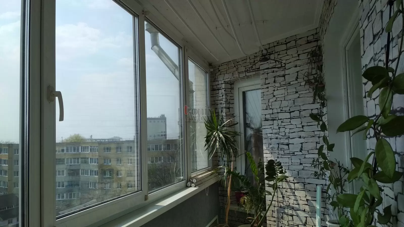 Тонировка стекол